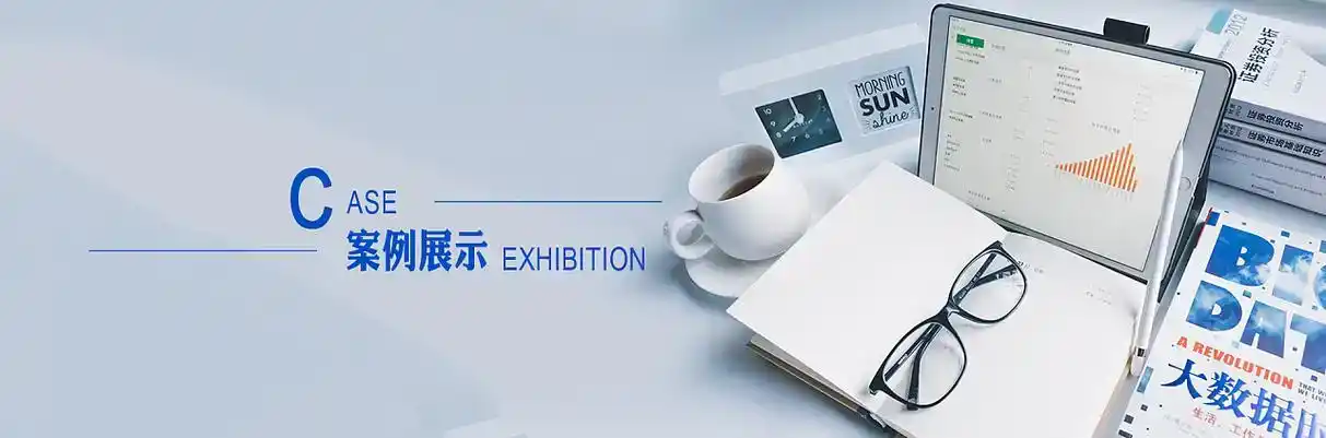 定远县软件开发